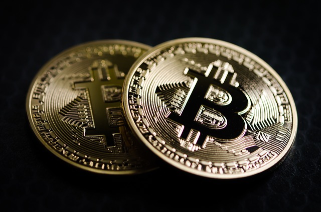 Bitcoin coin